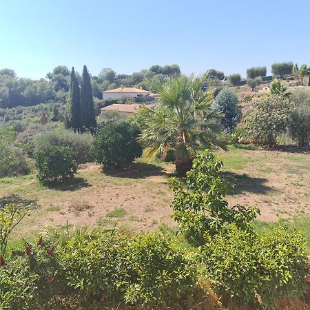 Appartement Alpes Maritimes Saint-Paul-de-Vence Exteriör bild
